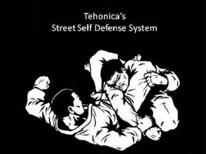 tehonicasstreetselfdefensesystem.jpg